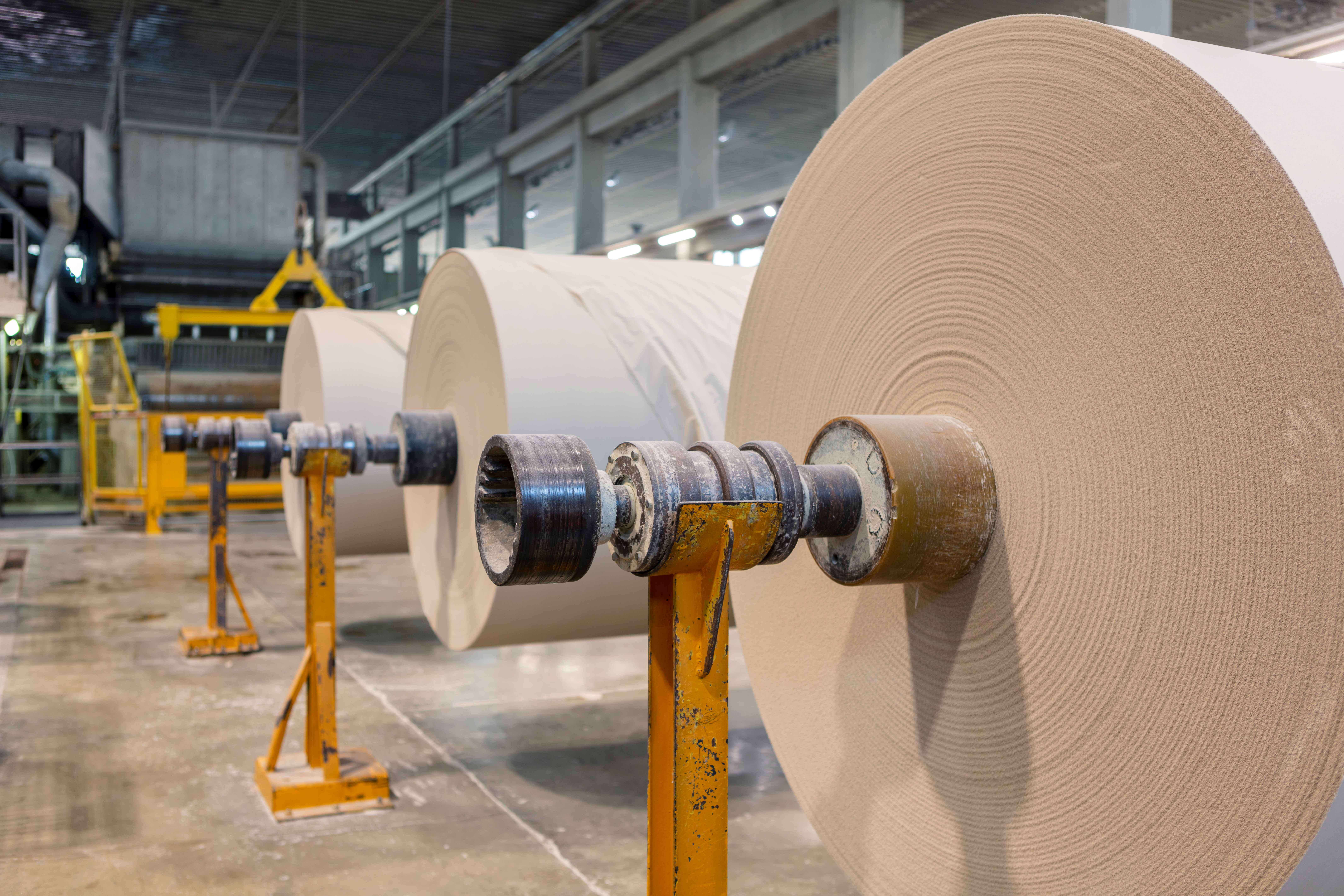 Lucart, focus sui benefici dei “progetti faro carta”: il 6 dicembre allo stabilimento di Diecimo anche il ministro Foti